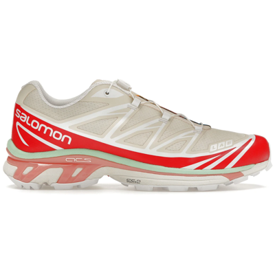 Salomon XT 6 Gore Tex Roasted Clay