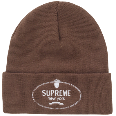 Supreme Crest Beanie Brown